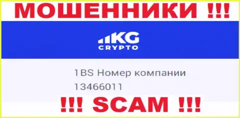 Номер регистрации компании CryptoKG Com, в которую кровные рекомендуем не вводить: 13466011