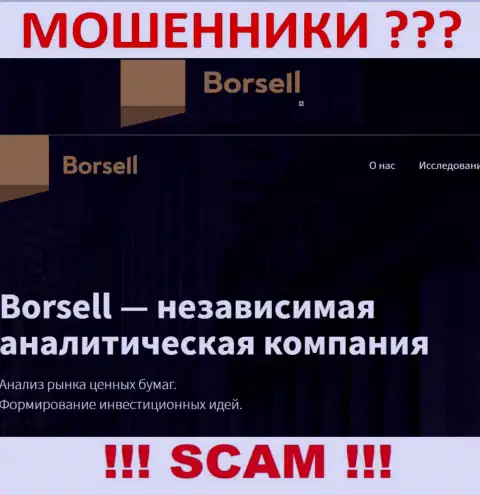Что касается области деятельности Borsell Ru (Аналитика) - это несомненно кидалово