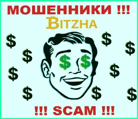 Компания Bitzha 24 - ЖУЛИКИ !!! Работают незаконно, поскольку не имеют регулятора
