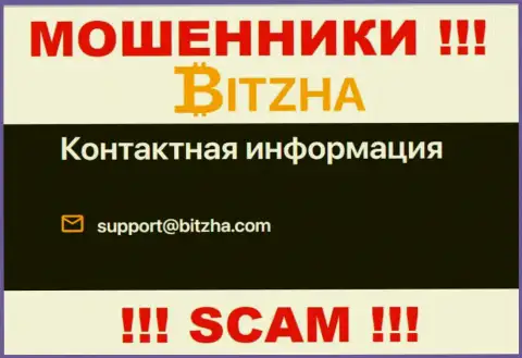 Адрес электронного ящика мошенников Битжа24, информация с официального ресурса