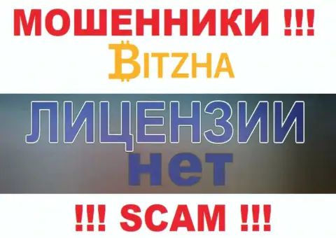 Мошенникам Bitzha 24 не дали лицензию на осуществление деятельности - крадут средства