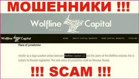 Юридическое лицо компании WolflineCapital - это ООО Волфлайн Капитал