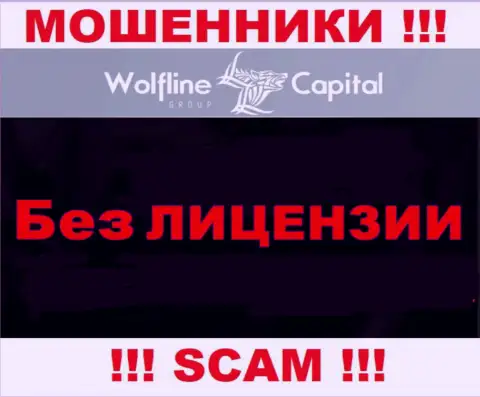Невозможно нарыть сведения о лицензионном документе internet воров Wolfline Capital - ее просто-напросто нет !!!