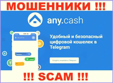 Any Cash это интернет кидалы, их работа - Криптовалютный кошелёк, нацелена на присваивание денежных вложений клиентов