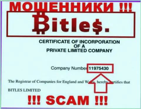 Номер регистрации интернет мошенников Битлес Лтд, с которыми очень опасно работать - 11975430