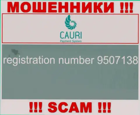 Регистрационный номер, принадлежащий противоправно действующей конторе Cauri - 9507138