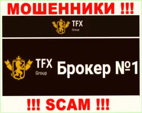 Не стоит доверять депозиты TFX Group, т.к. их область работы, Forex, капкан