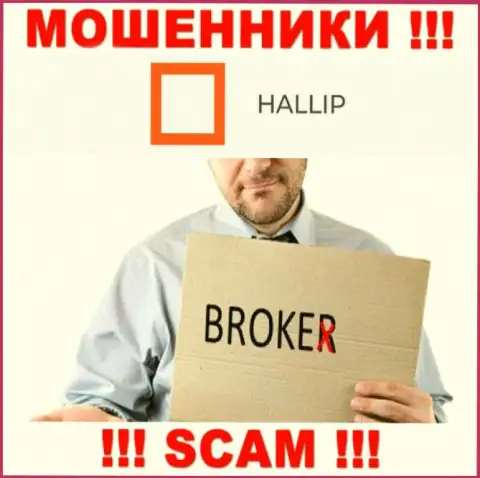 Направление деятельности internet мошенников Hallip - это Брокер, но знайте это надувательство !!!