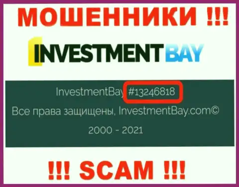 Регистрационный номер, под которым зарегистрирована контора Investment Bay: 13246818