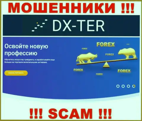 С DX Ter иметь дело довольно рискованно, их вид деятельности Forex - это замануха