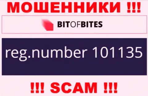 Регистрационный номер организации Bit OfBites, который они представили у себя на сервисе: 101135