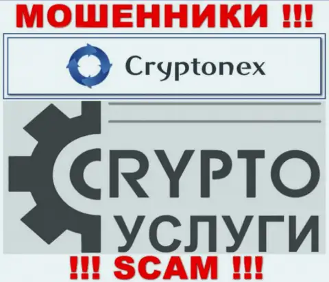 Взаимодействуя с CryptoNex, область деятельности которых Крипто услуги, можете остаться без вложенных денег
