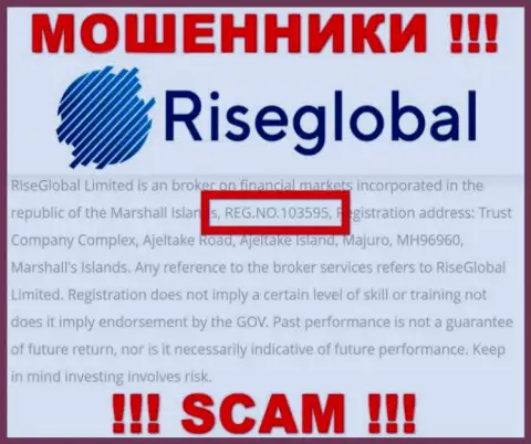 Рег. номер Rise Global, который мошенники показали на своей интернет-странице: 103595