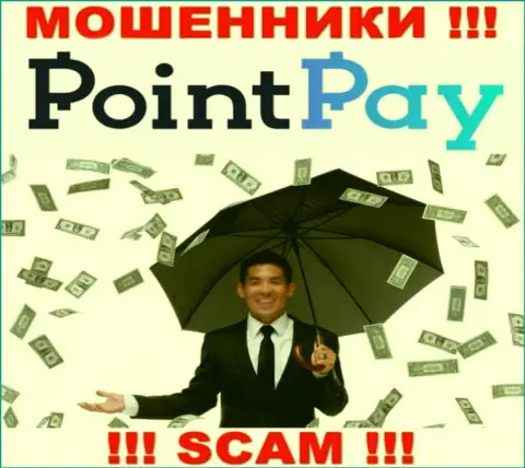 Не попадите в грязные руки internet мошенников Point Pay, денежные средства не увидите