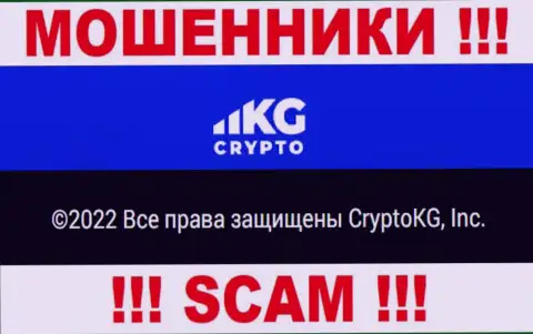 КриптоКГ Ком - юридическое лицо мошенников контора CryptoKG, Inc