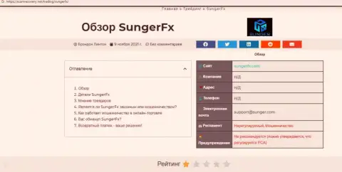 Sunger FX - это организация, совместное сотрудничество с которой доставляет только потери (обзор деяний)