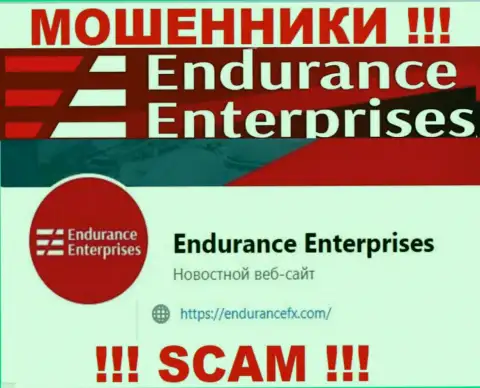 Установить связь с интернет-мошенниками из конторы EnduranceFX Com Вы сможете, если напишите сообщение на их е-мейл