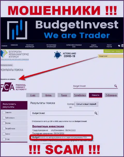 Информацию о регуляторе компании BudgetInvest Org не найти ни у них на web-портале, ни во всемирной паутине