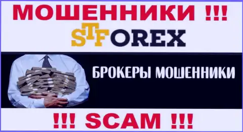 Разводилы ST Forex только задуривают мозги валютным трейдерам, обещая заоблачную прибыль