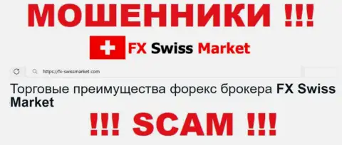 Область деятельности FX Swiss Market: ФОРЕКС - отличный доход для мошенников