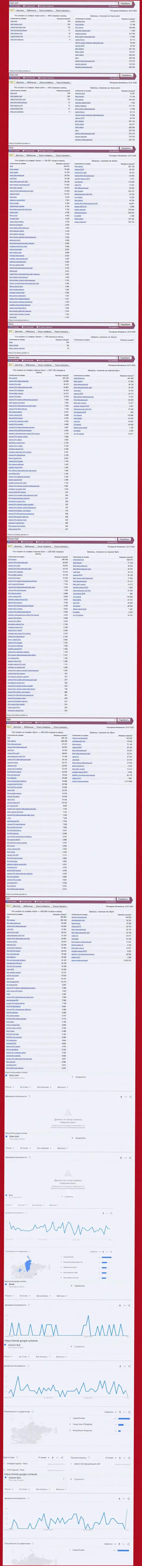 Статистические показатели поисковых запросов по мошенникам BooiCasino в сети Интернет