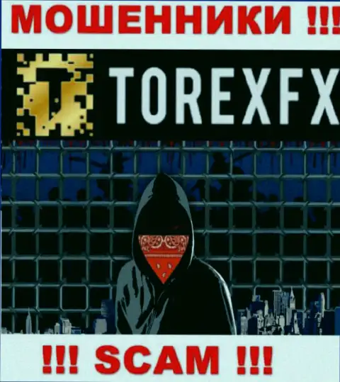 Torex FX не разглашают данные об руководителях организации