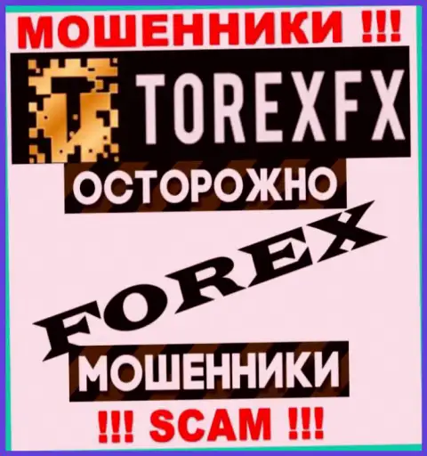 Сфера деятельности Торекс ФХ: Forex - хороший доход для мошенников